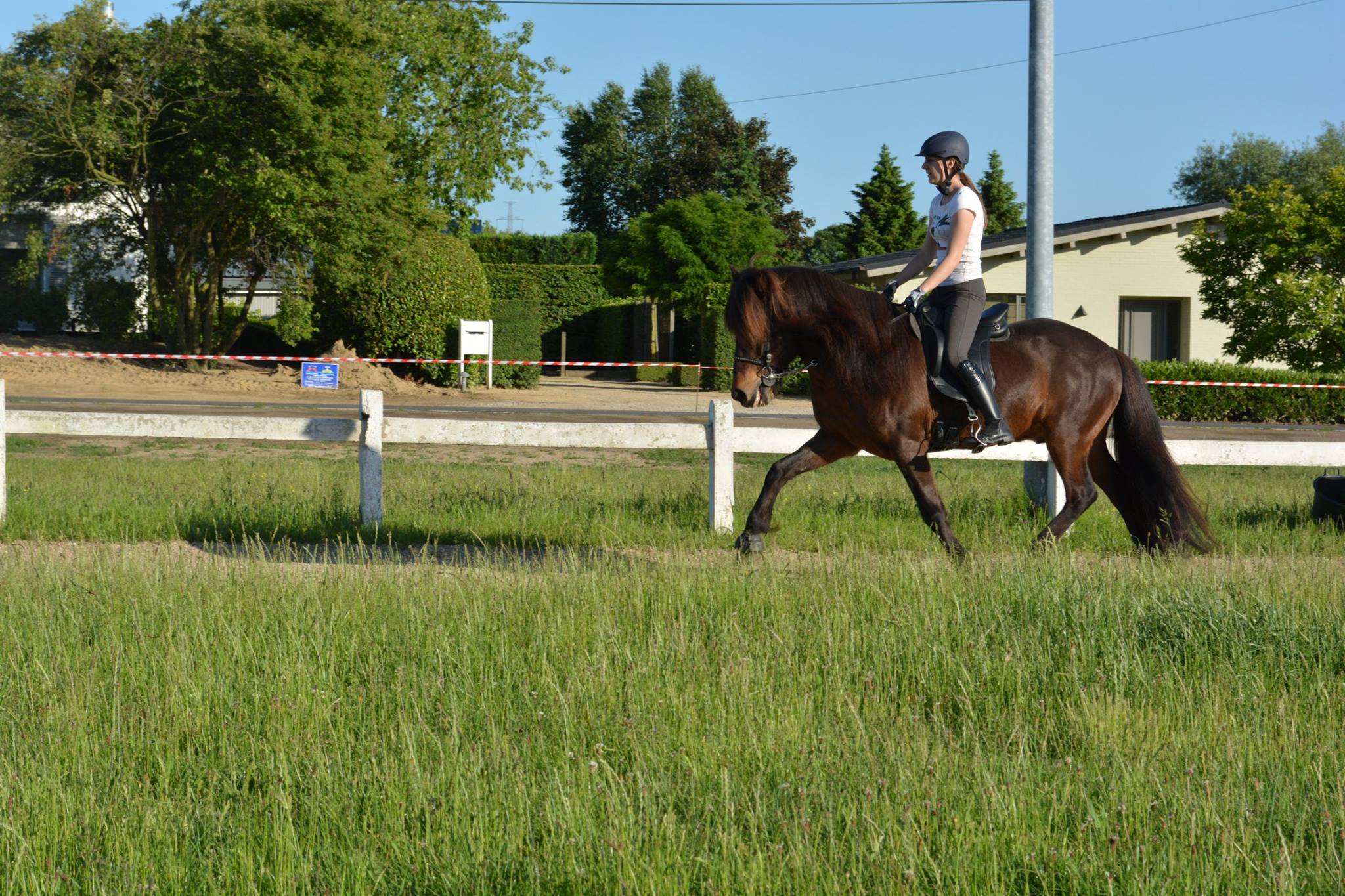 t6
